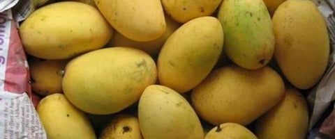 The Top 21 Verities of Mango in India - Chausa Mango