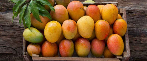 The Top 21 Verities of Mango in India - Fazli Mango