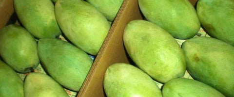 The Top 21 Verities of Mango in India - Langra Mango