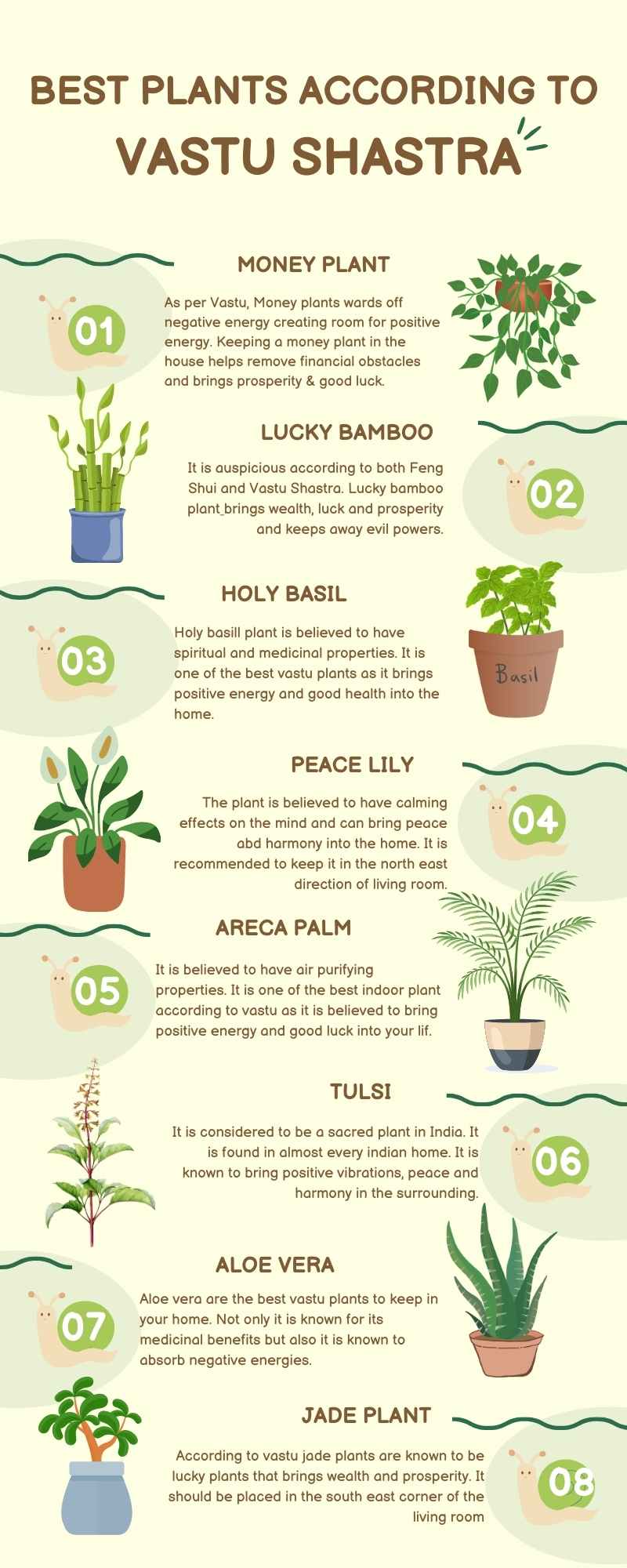 Best indoor plants according to Vastu