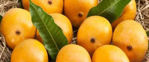 The Top 21 Verities of Mango in India - Malkurad Mango