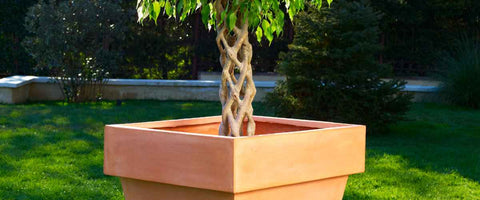 Small Decorative Eco Series Pots For Indoor Plants