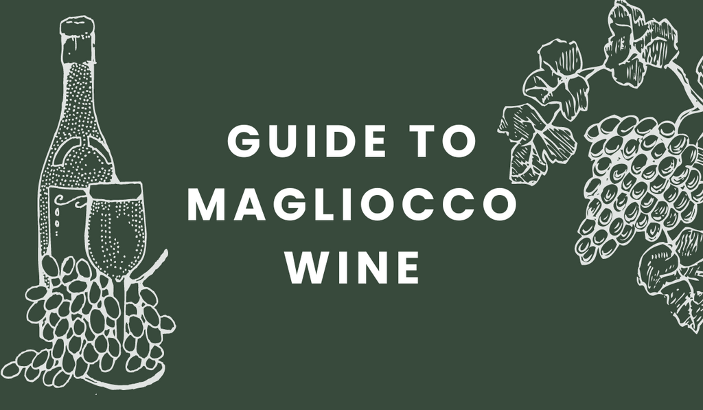 magliocco wine