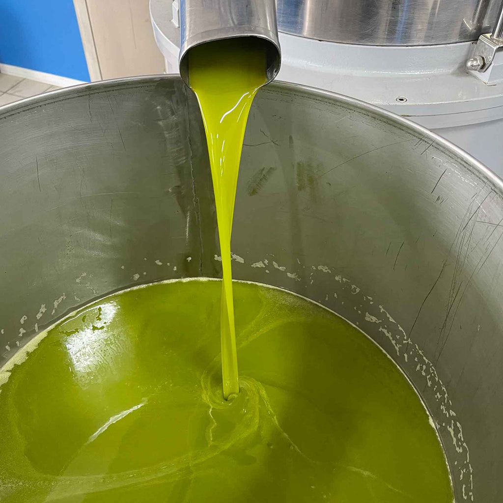 The truth about olive oil from Italy – EXAU Olive Oil