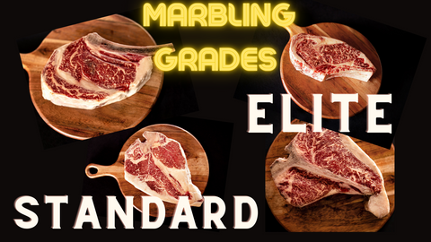 Angus, Grass-fed, Beef Quality, Marbling