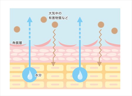 バリア機能低下