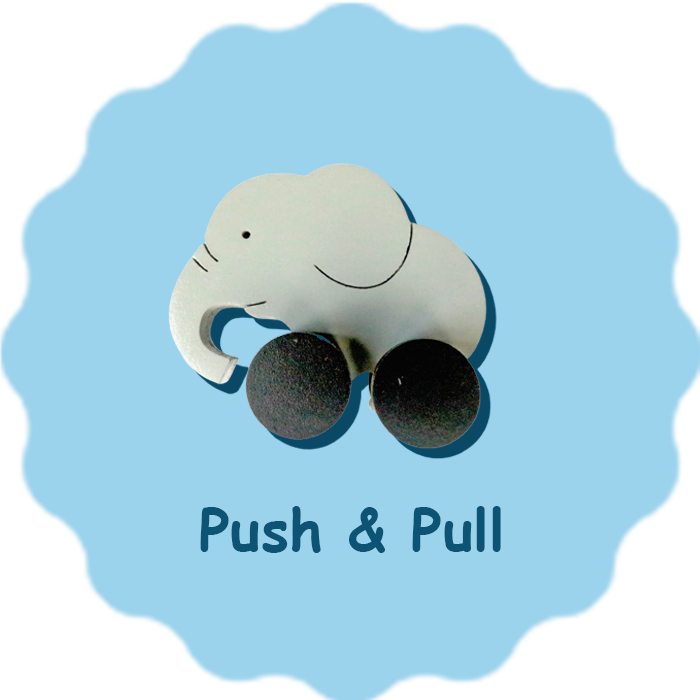 Pull & Push Toys
