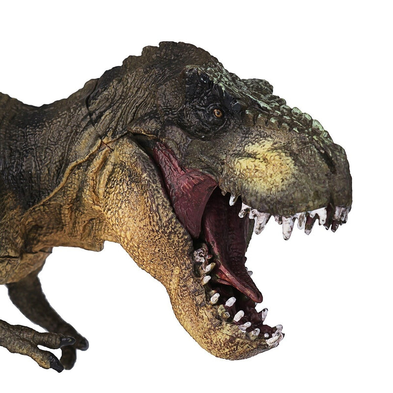 Tyrannosaurus Rex e Velociraptor - meumundoazul.com