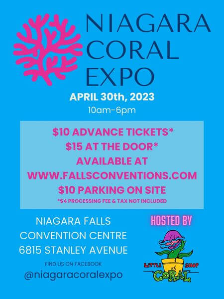 Niagara Coral Expo 2023 - Akua Design