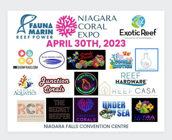 Niagara Coral Show - Akua Design