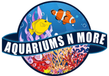Boutique Aquarium N More