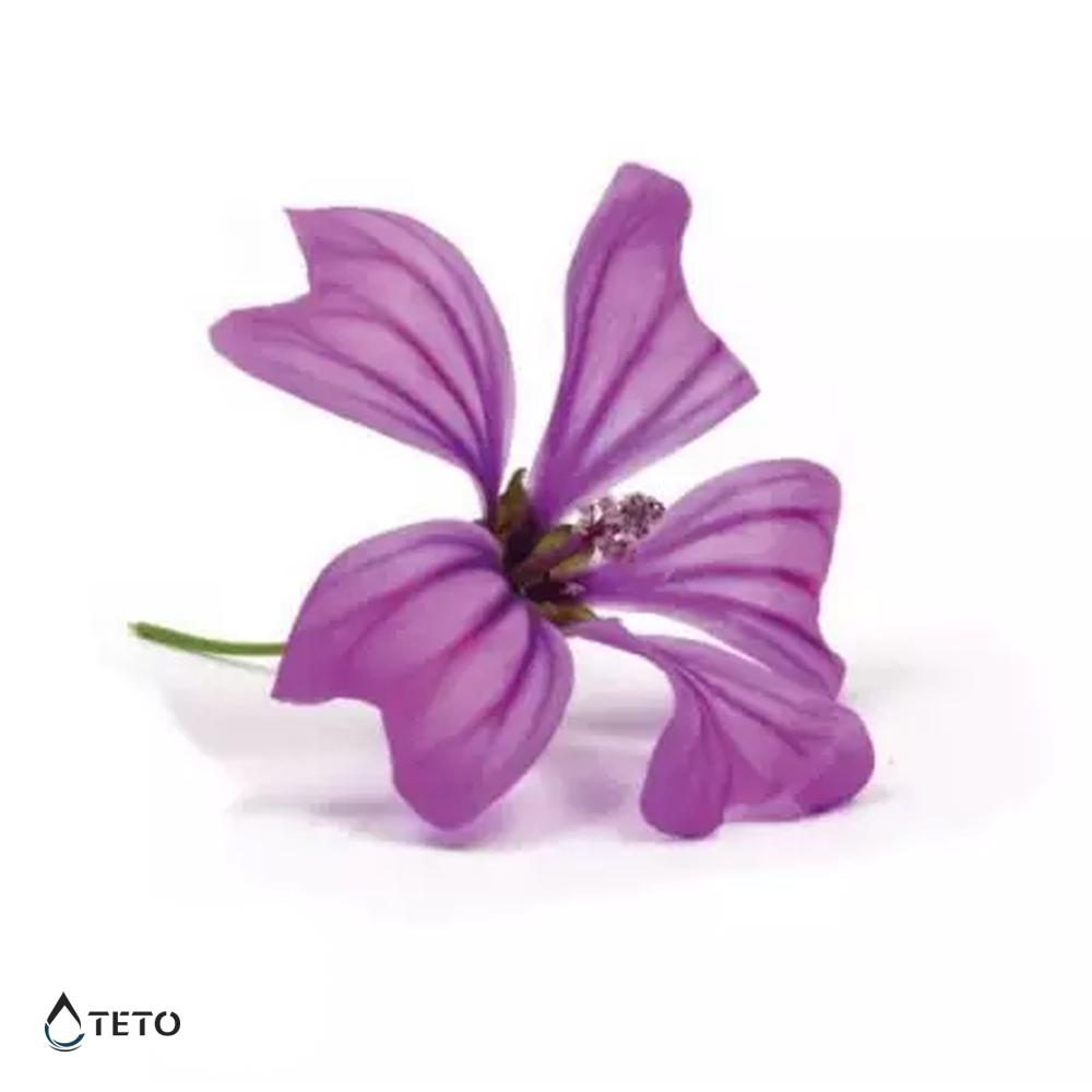 Teto - Tatuajes Temporales - Flor Morada con Sombra - Pequeño  –  Mercados Latam