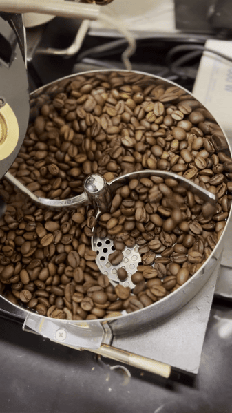 specialty coffee beans being cooled down after roasting