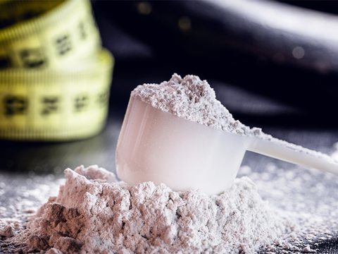 Which protein powders are best for weight loss