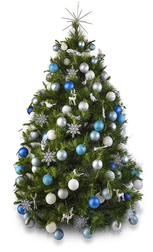  Winter Wonderland real decorated Christmas  Tree Hire  