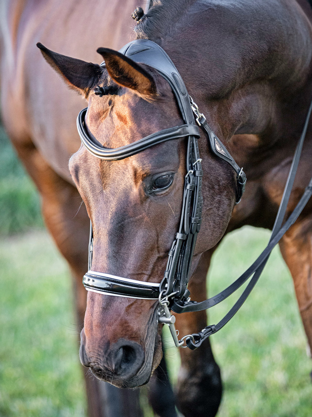 BR Anatomic Padded Halter Adjustable with Round Raised Noseband