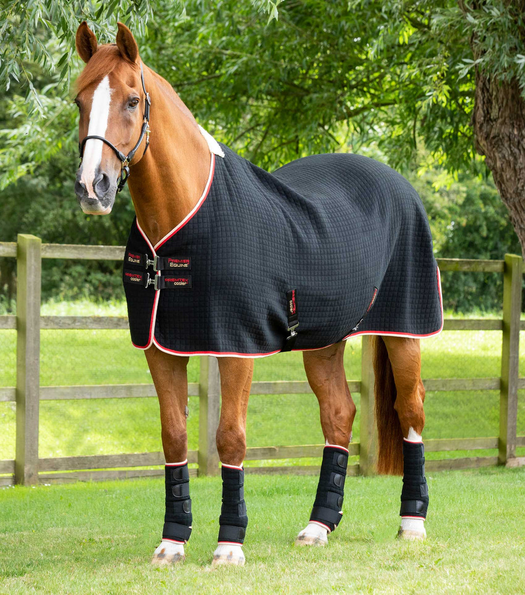 Winderen horse rug Thermo Coat 135 cm - Brown/Ginger | manufacturer and  equestrian shop Winderen