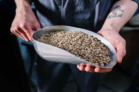 How to store unroasted coffee beans in a scoop