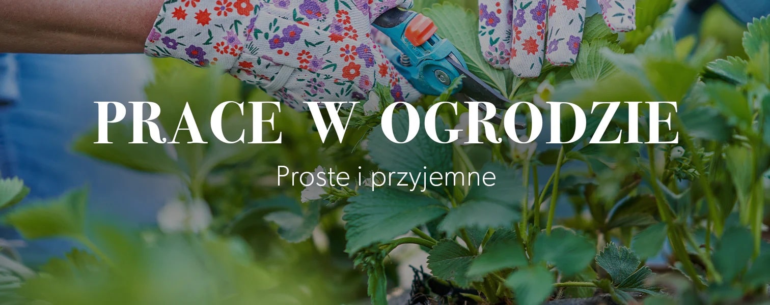 prace w ogr-min.jpg__PID:82d9bda8-d104-40ae-84e1-b467f9be5da7