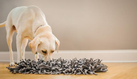 What is a Snuffle Mat? And Why To Use It? – The Dogs Stuff