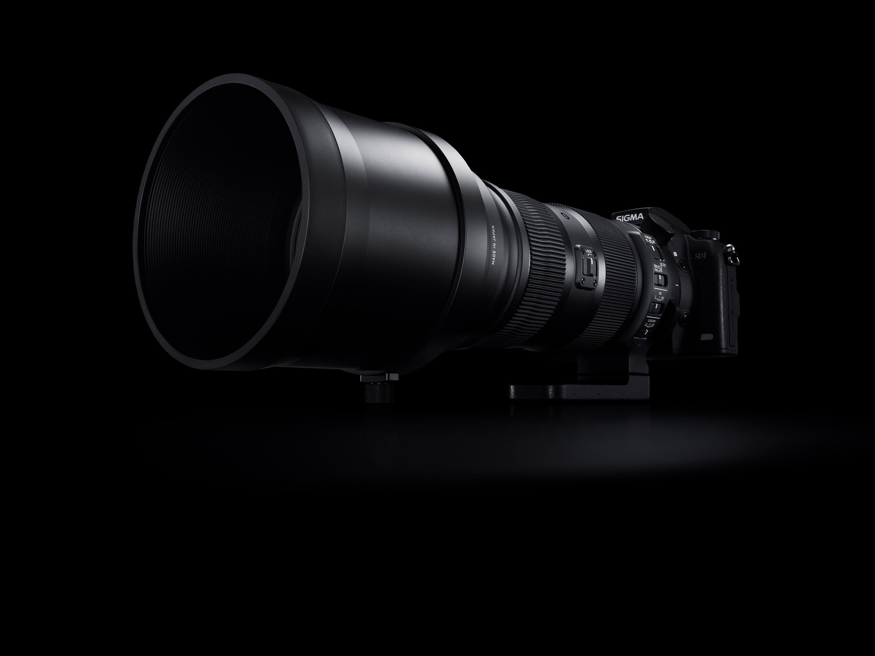 Sigma 150-600mm F5-6.3 DG OS HSM | Sports — SIGMA Canada