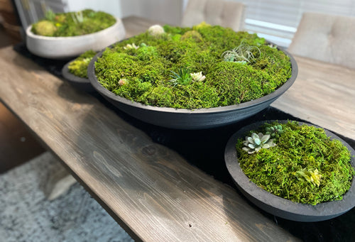 Moss Bowl Arrangement, Concrete Bowl Moss Decor 9” bowl