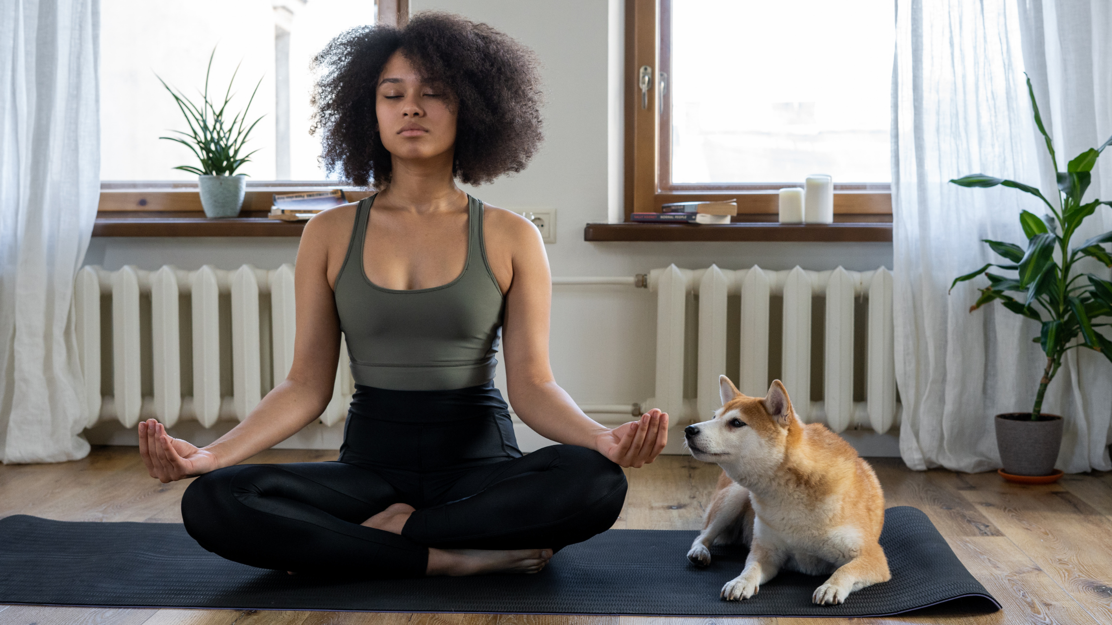 meditation cbd yoga calm