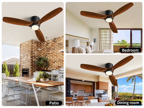 Ceiling Fan with Light