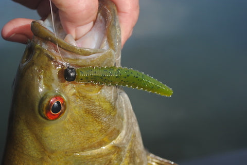 How To Fish A Ned Rig 101: Master The Art Of Ned Rig Fishing – Bass Finder