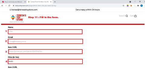 Teresa's Toy Store :  Step 11 - Fill in the form. 