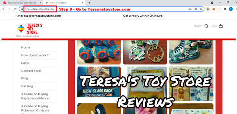 Teresa's Toy Store :  Step 9 - Go to Teresastoystore.com 