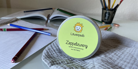 Zappelzwerg-Pad-Dose auf einem Schreibtisch