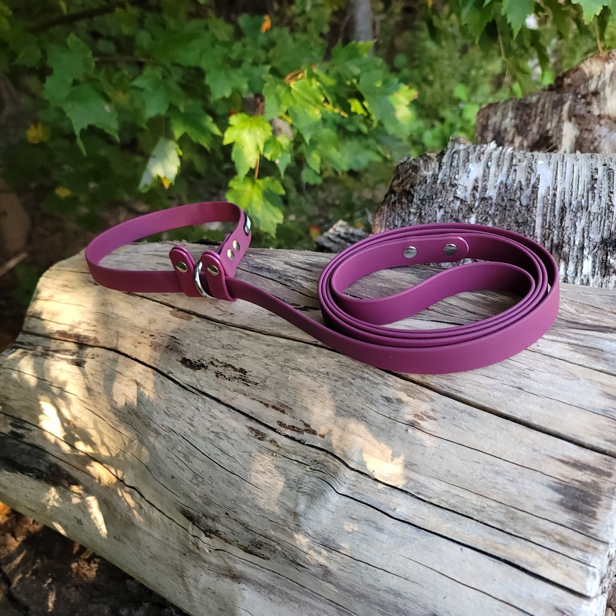 1/2 Wide Adventure Carabiner Biothane Long Line – Get Dirty Pet Gear