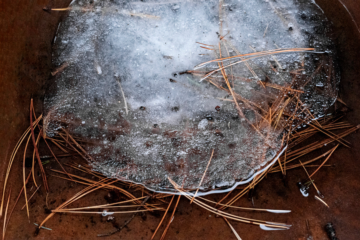 Janet Russek, Ice Moon photograph