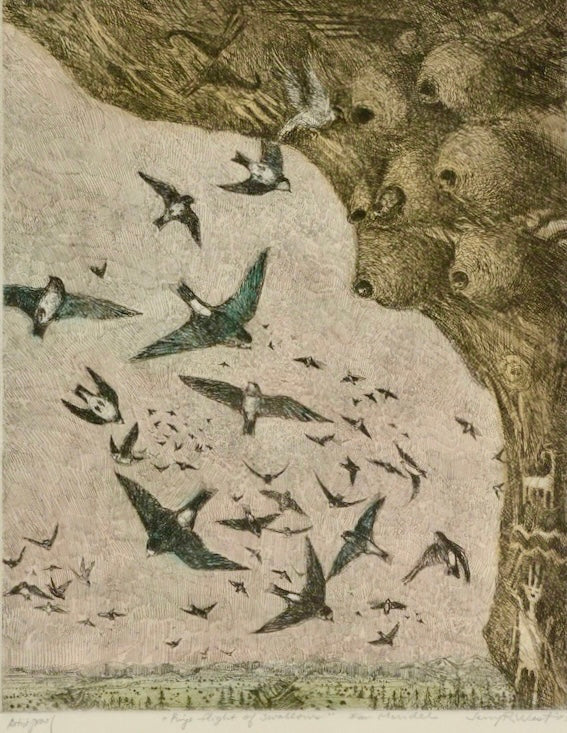 Puyé Flight of Swallows 1977 three plate copper etching 15 x 11 in.