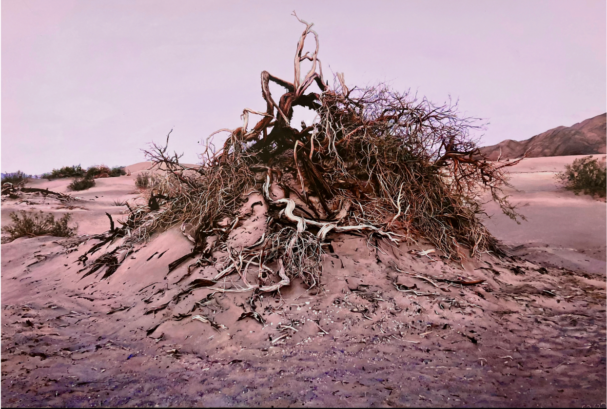 Cedra Wood, Mesquite Dune in the Gloaming with Luna and Venus (painting), acrylic on panel, 24 x 36 in.