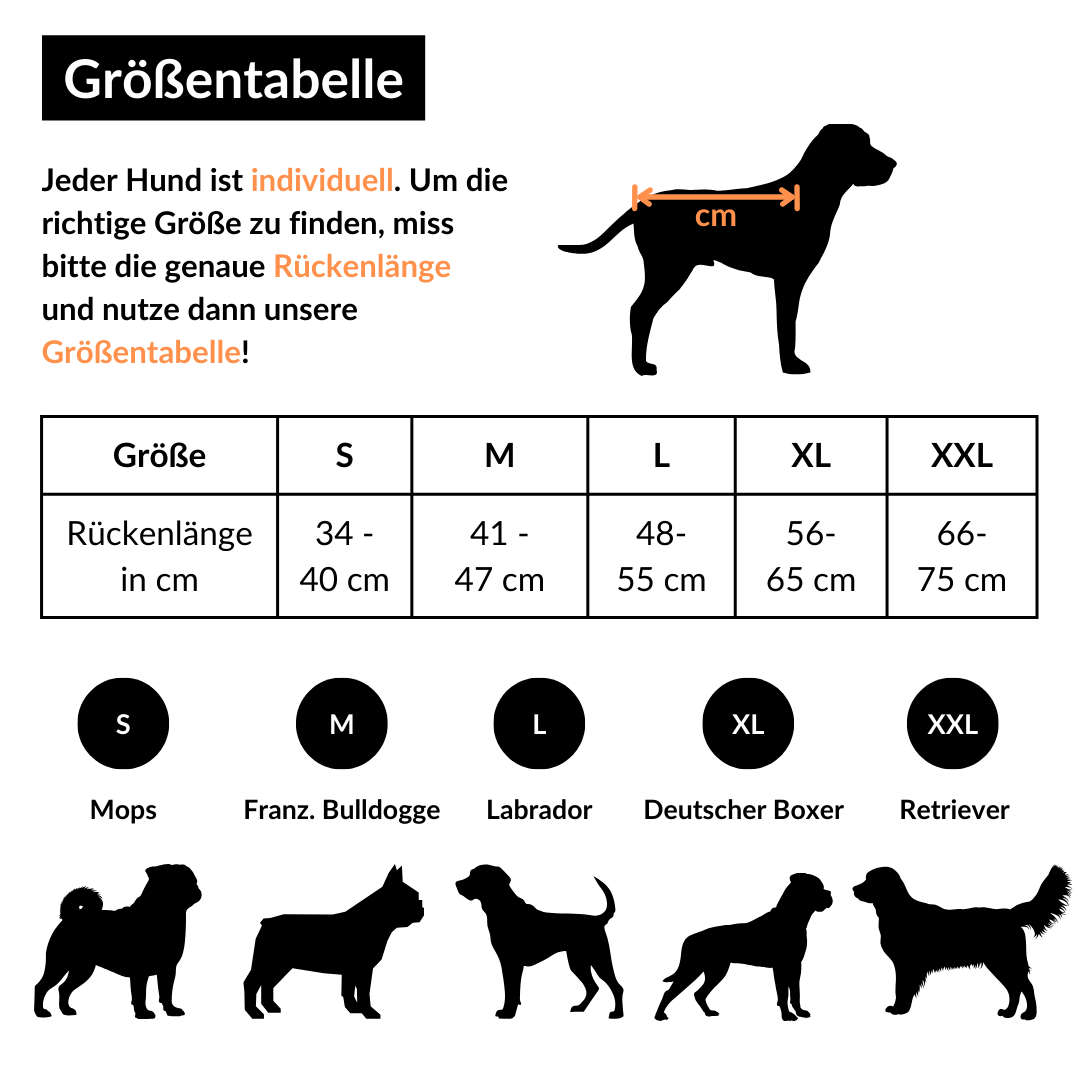 bademantel für hunde