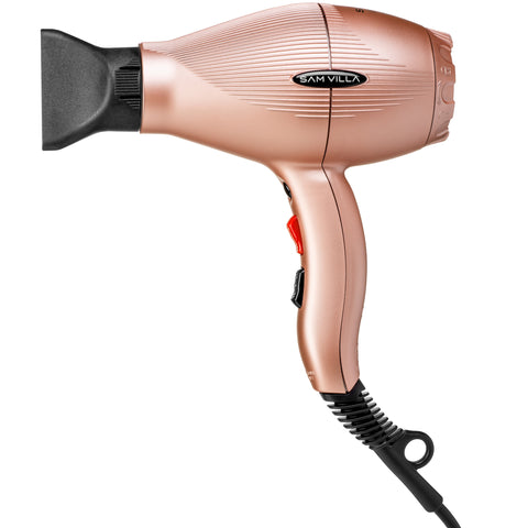 Pro Light Ionic Blow Dryer