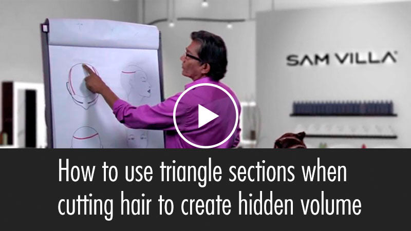 Using Triangle Sections to Layer Hair and Create Hidden Volume