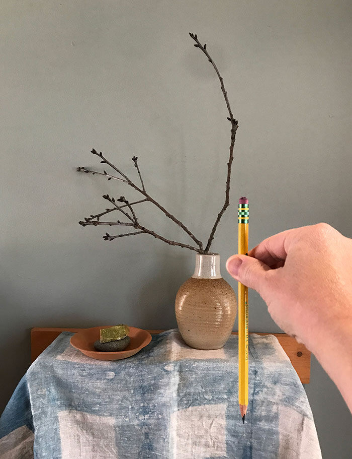 hand holding pencil vertically in front of potted plant a bowl on table