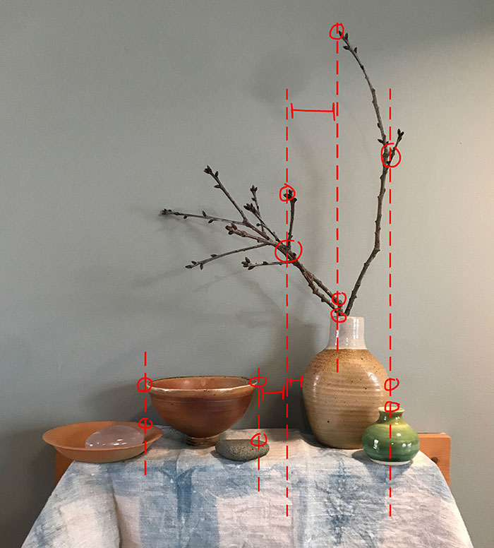 vertical red dashed lines drawn on top of photograph of potted plant and dishes on table