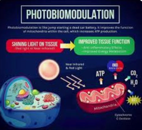 Red Light Therapy mitochondrial dysfunction anti aging pain relief slow aging brain fog energy atp infrared therapy 