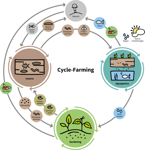 OFERA Cycle Farming Illustration