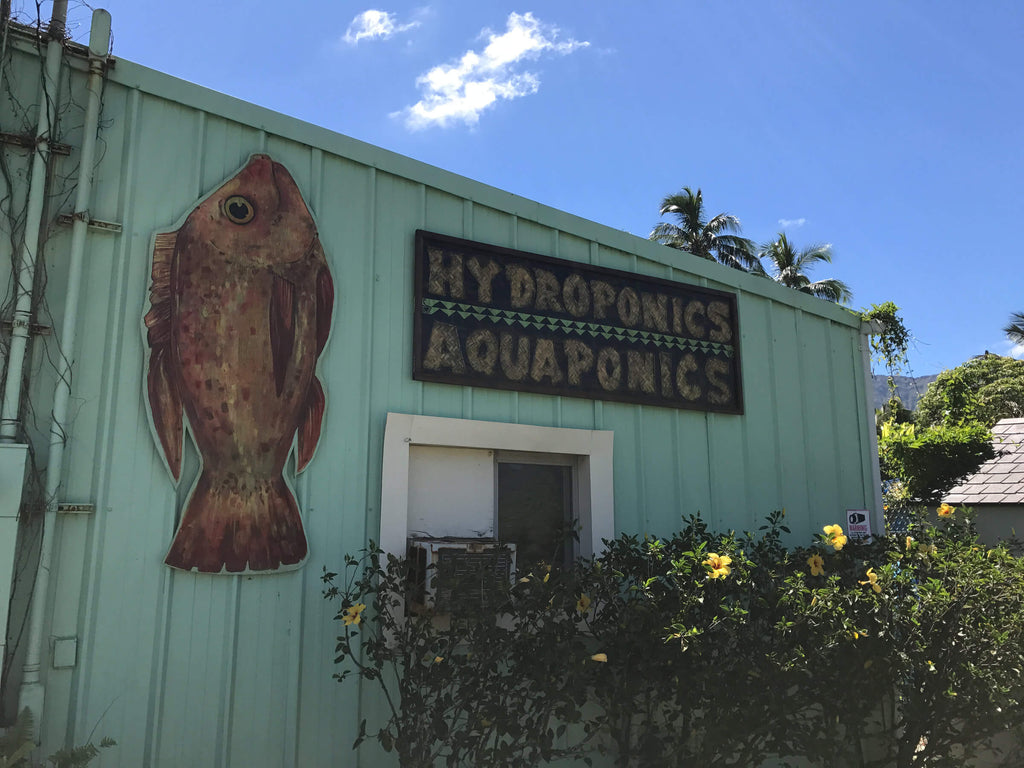 Aquaponic Farm in Hawaii