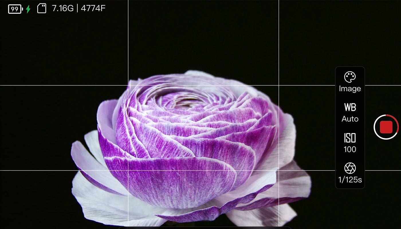 Creating stunning flower time lapse videos: 4 essential tips