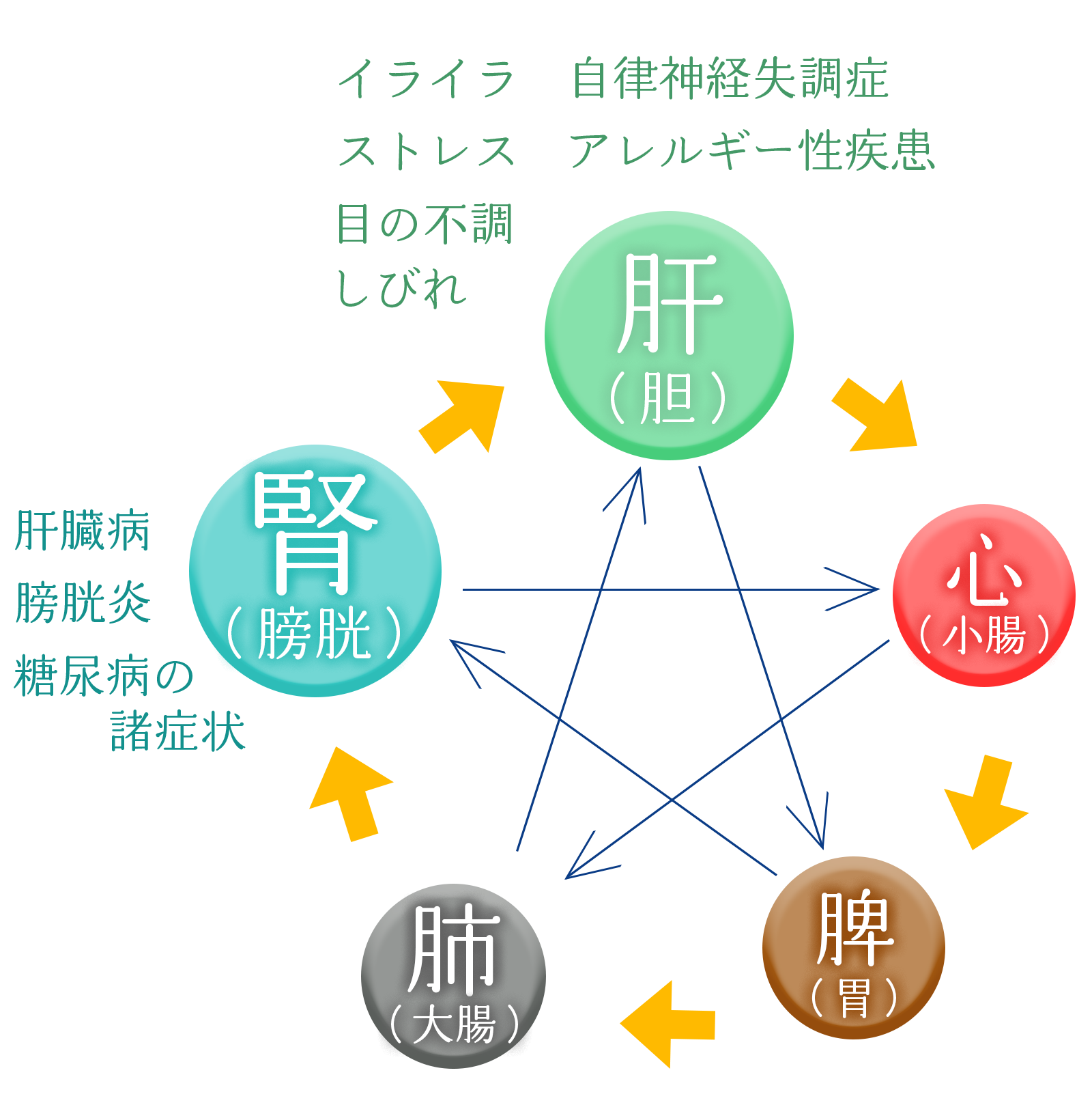 すっきり見るサプリメント