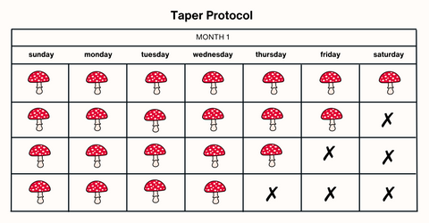 amanita muscaria microdosing - taper protocol