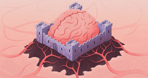 blood brain barrier
