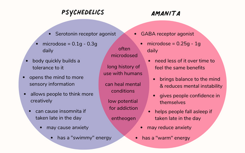 comparison chart of psychedelics vs Amanita muscaria
