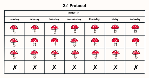 amanita muscaria microdoses - 3:1 protocol